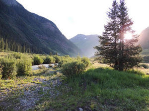 Meet your Posher, Kevin